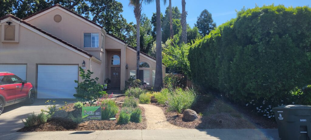 Beautiful Front Yard