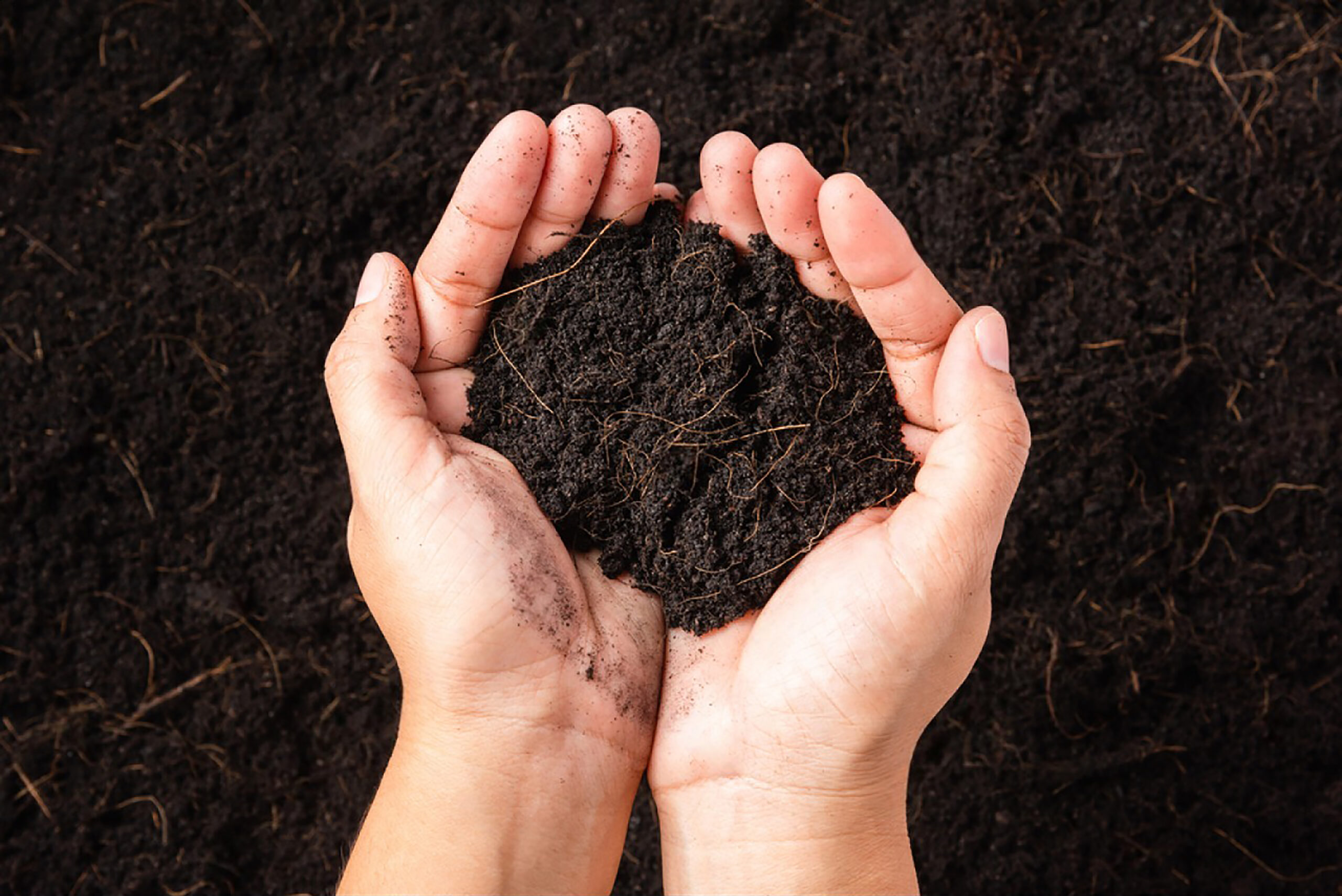 Hands holding nutrient-rich dirt from soil health services in Benicia, CA